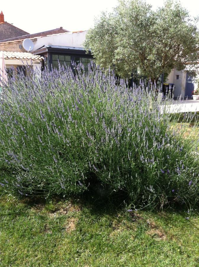 La Jarrie Leduc Exterior foto